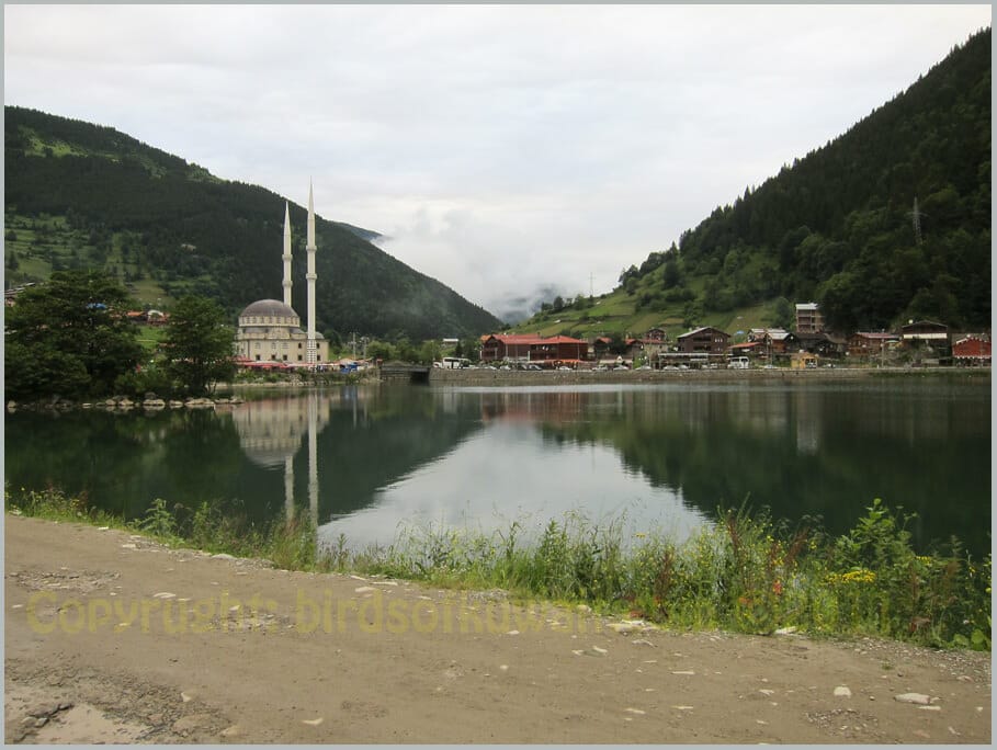 Uzungöl Lake Resort