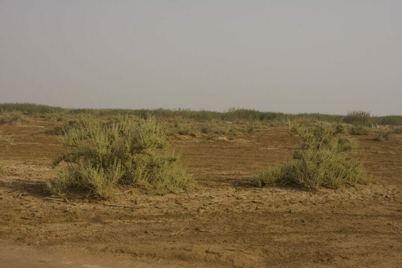 Jahra East Outfall, Kuwait on 2nd July 2009