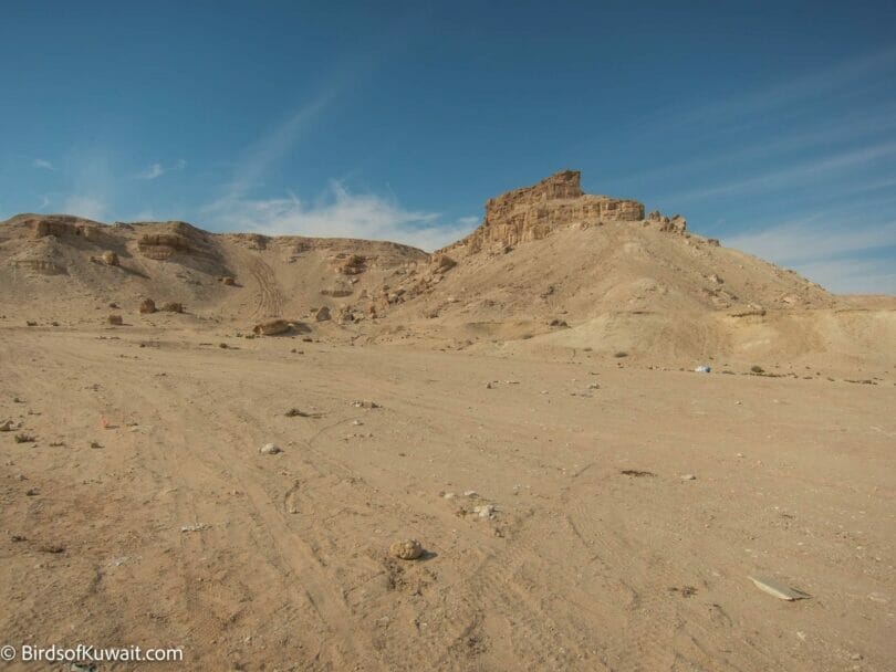 Al-Shallal's Farm