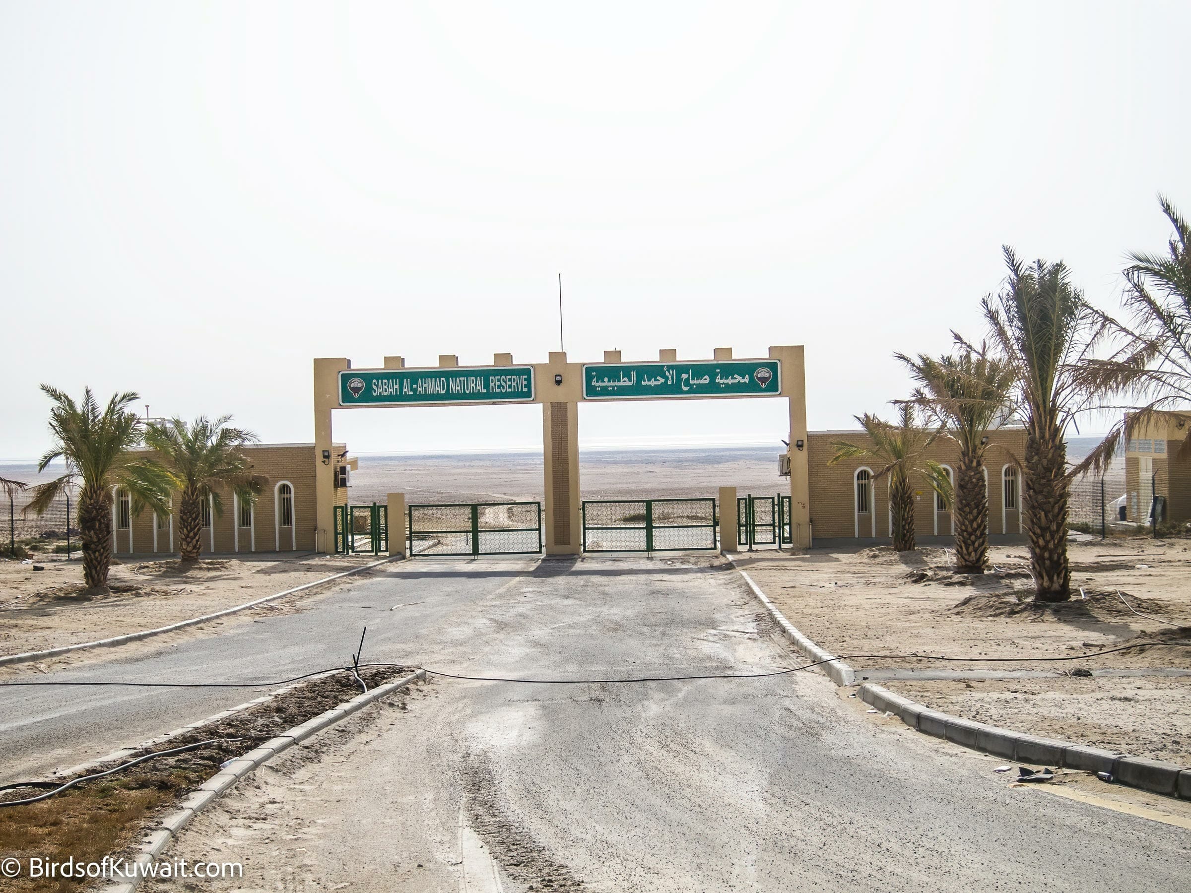 The enterance to the coastal side of Sabah Al-Ahmad Natural Reserve
