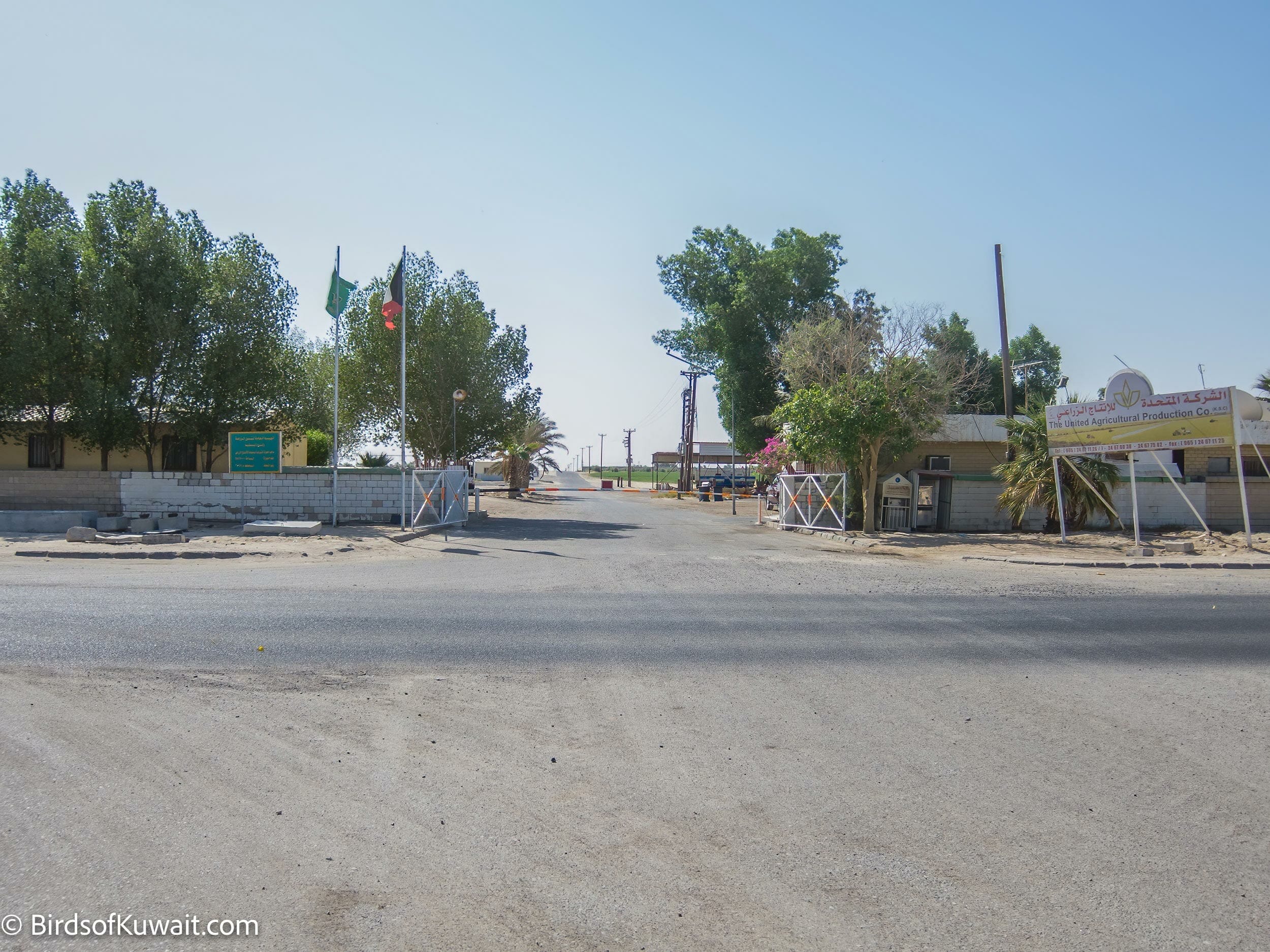 The main enterance to the Sulaibiya Pivot Fields