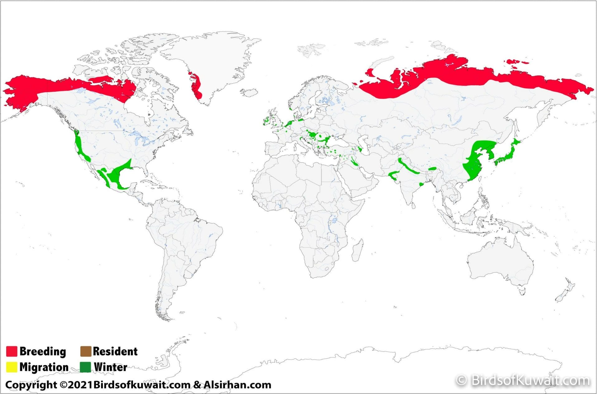 Distribution map of Greater White-fronted Goose Anser albifrons 