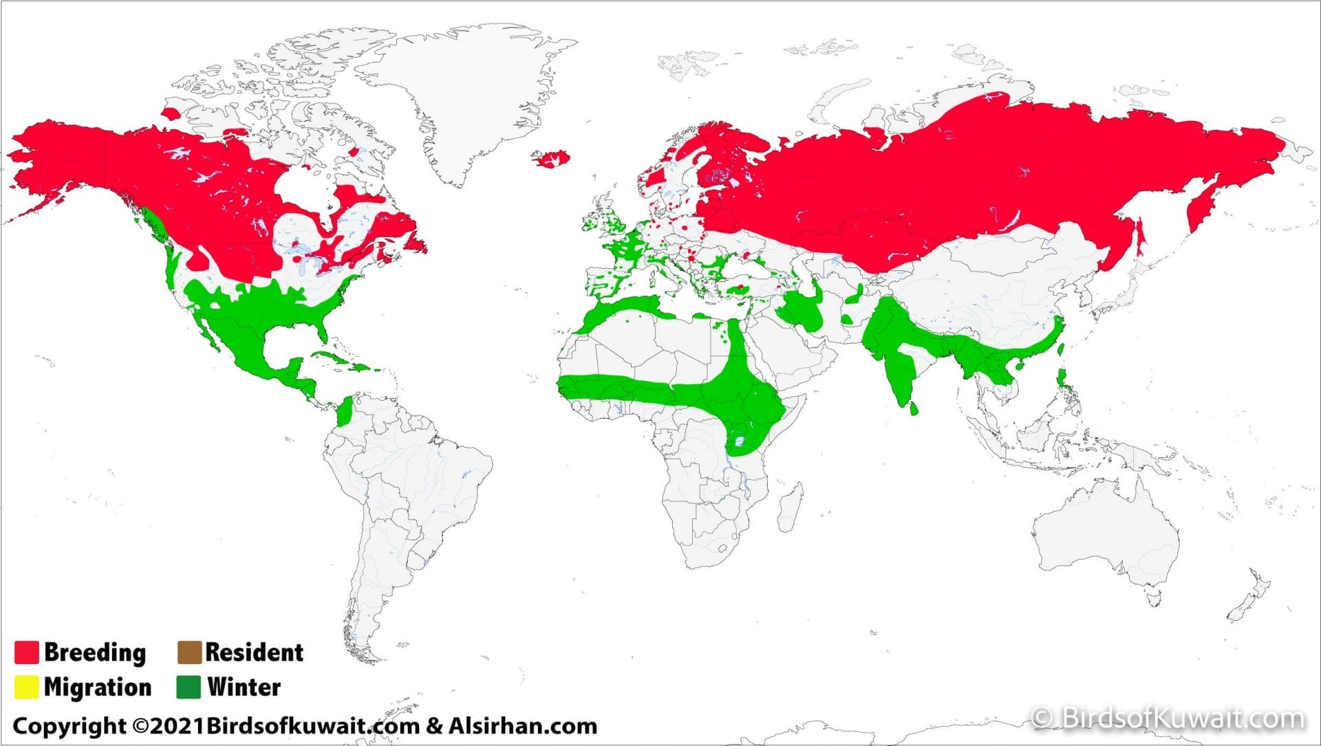 Distribution map of Northern Pintail Anas acuta