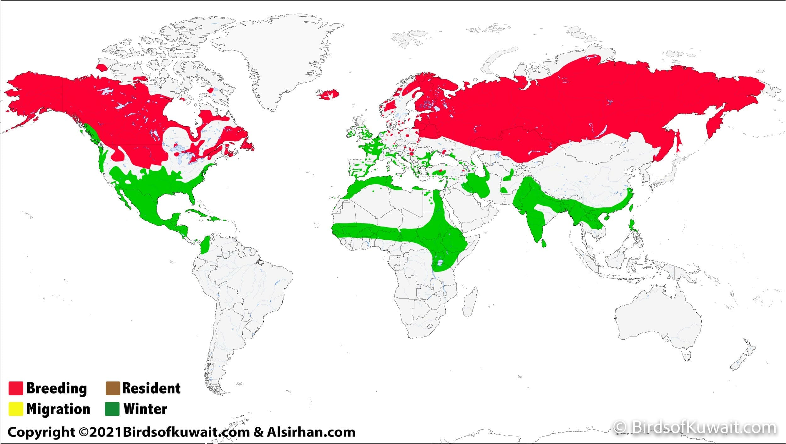 Distribution map of Northern Pintail Anas acuta