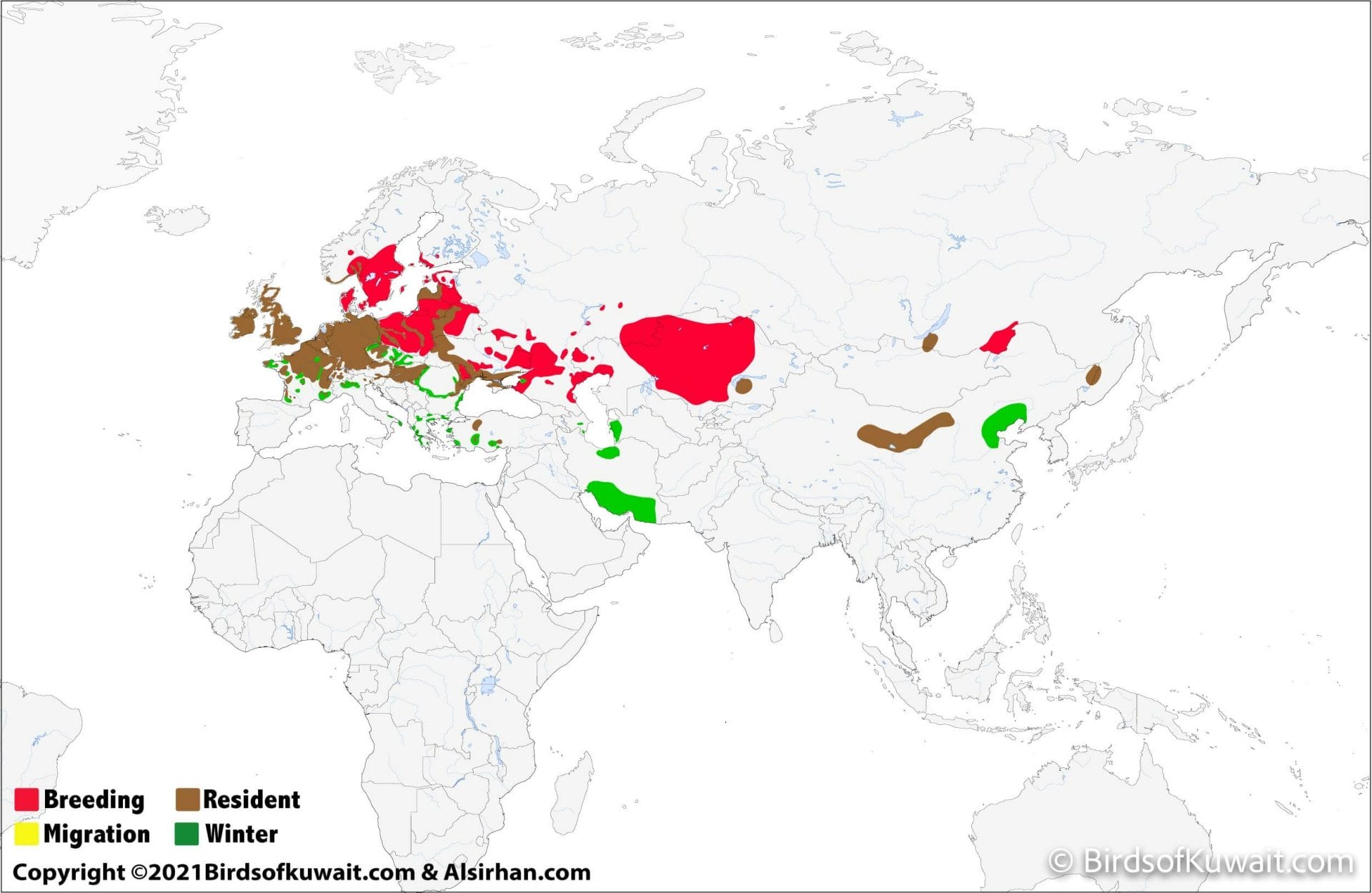 Distribution map of Greater White-fronted Goose Anser albifrons