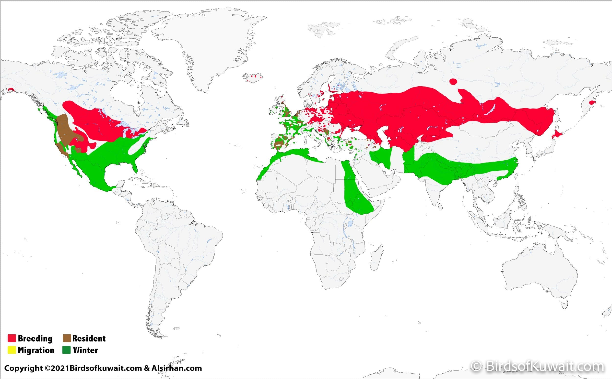 Distribution map of Gadwall Anas strepera