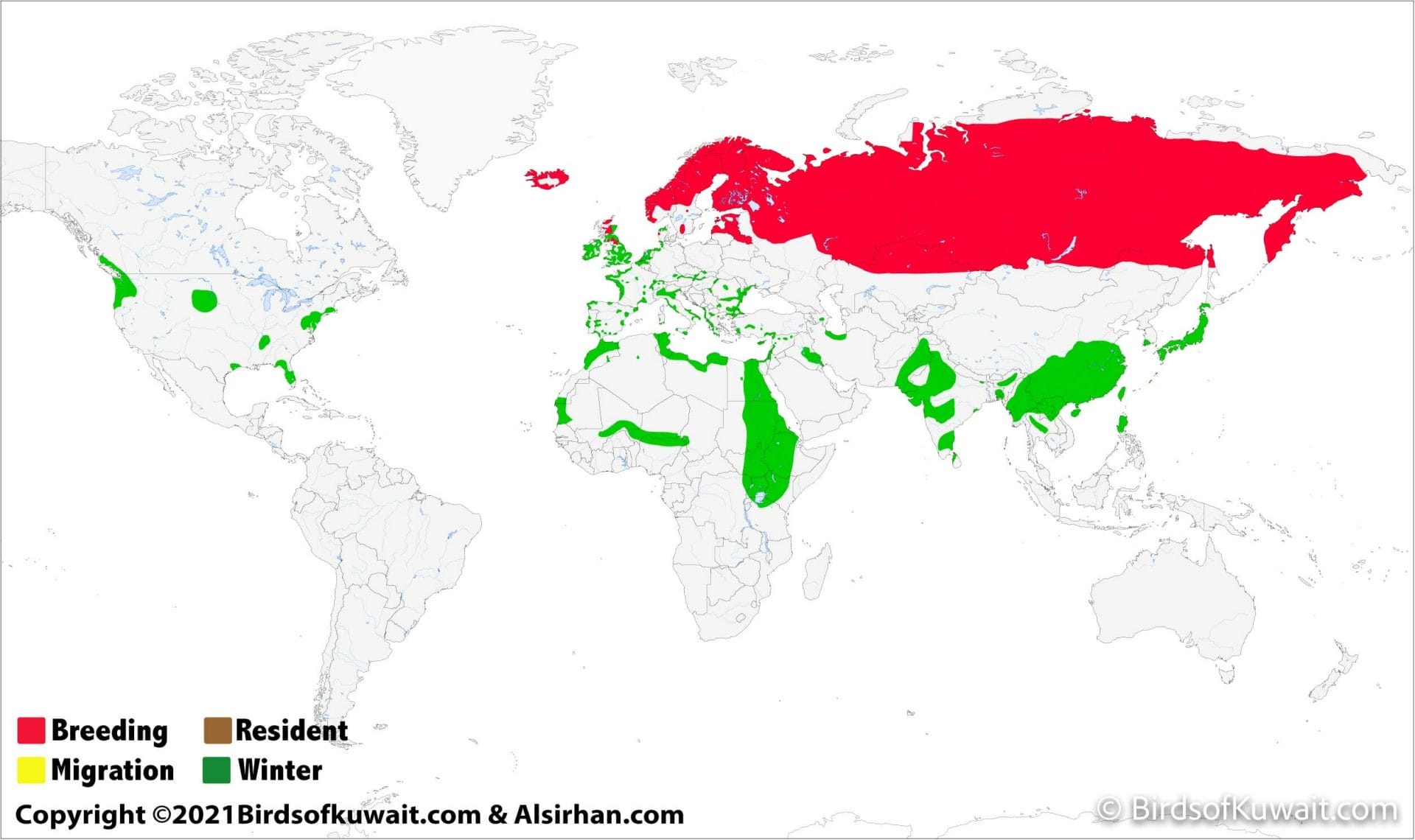 Distribution map of Eurasian Wigeon Anas penelope
